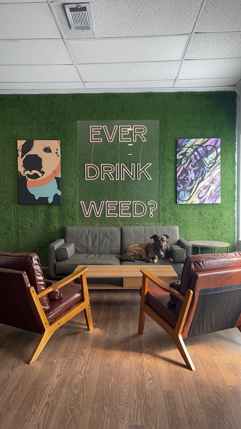 Buddy's Bud Co storefront